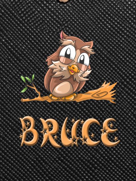 Hibou Bruce