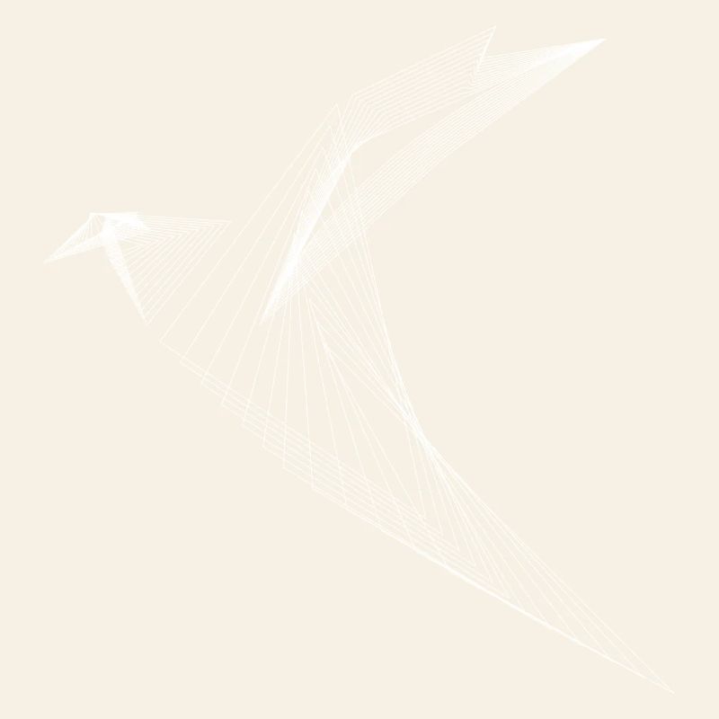 Geometric Lines Bird Minimal Design