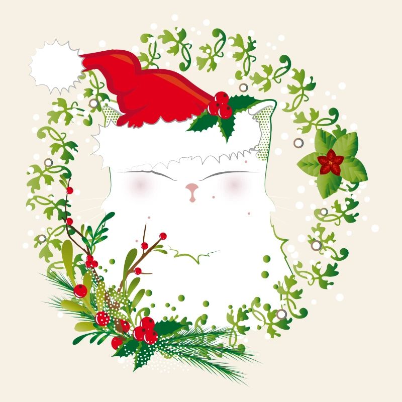 Chat de noel