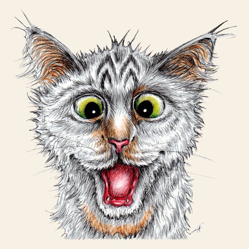 Chat heureux