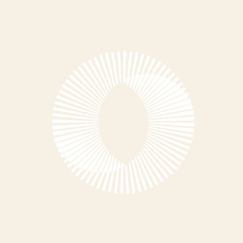 Circle illusion optic illusion paradox gift