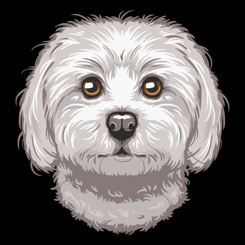 Maltese