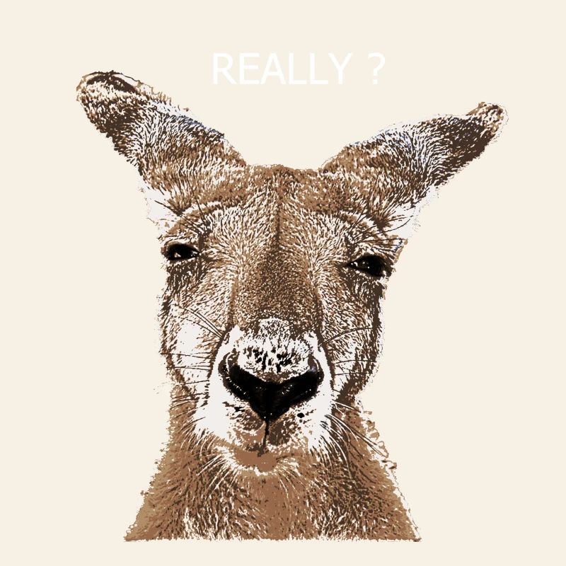 Kangaroo really?