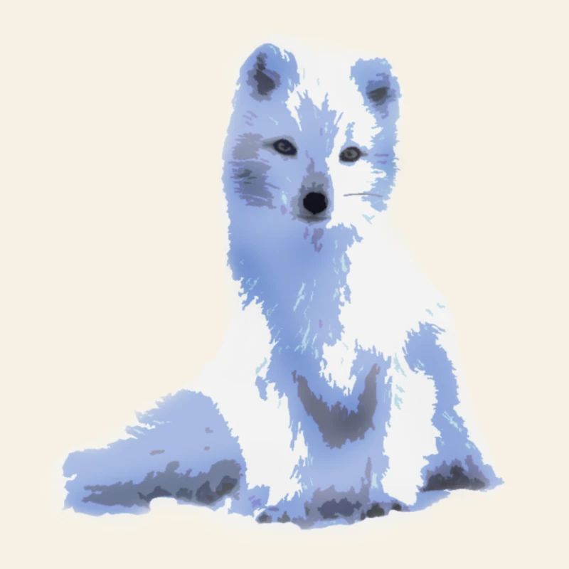arctic foxy / Arktisfuchs
