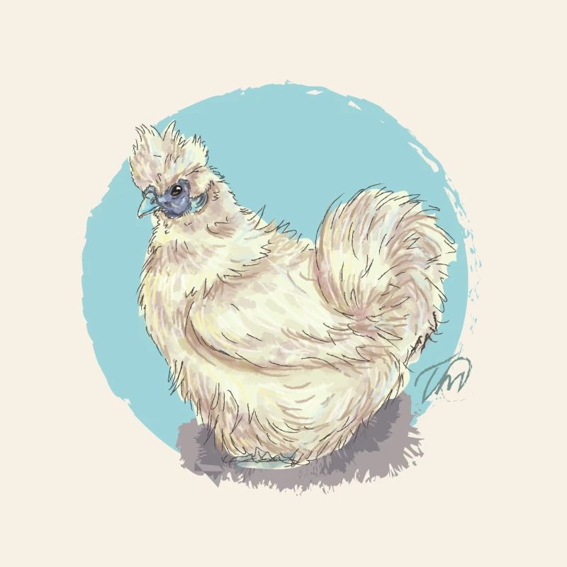 Poule en soie blanche