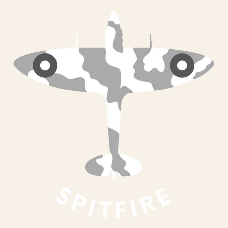 Avion de chasse de Spitfire