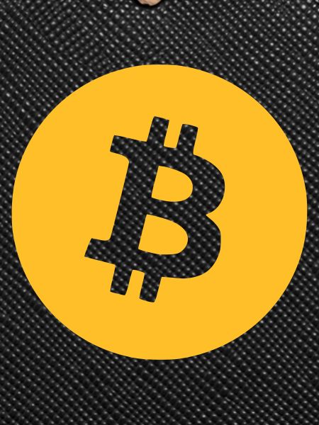 Le bitcoin