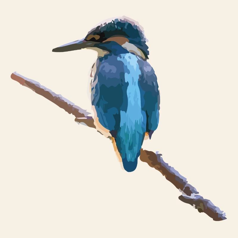 kingfisher