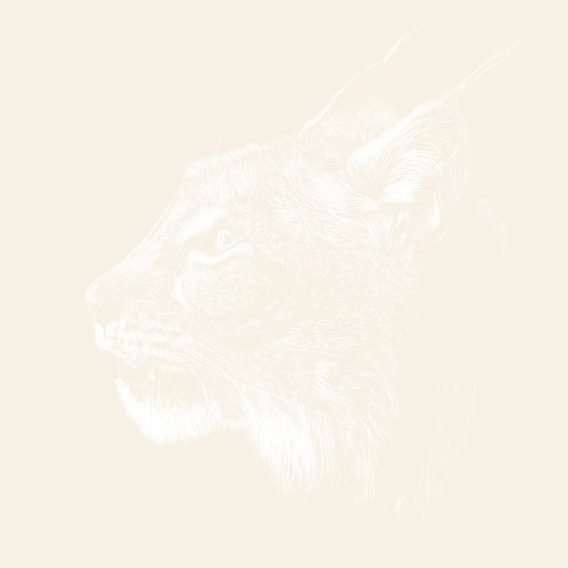 Lynx