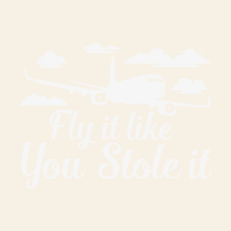 Fly It Like You Stole It Funny Pilot