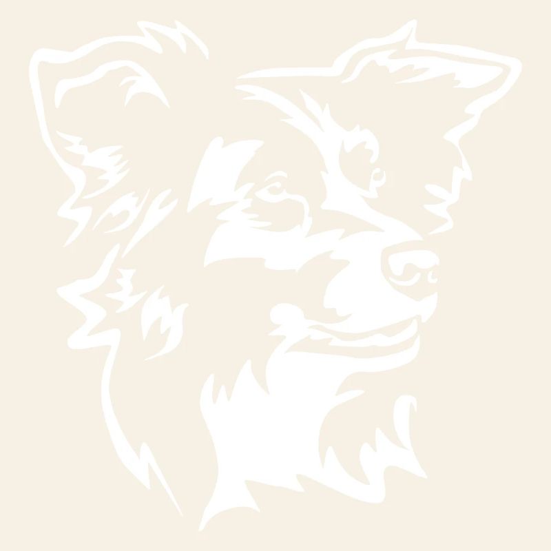 Border Collie Kopf "Black Edition"