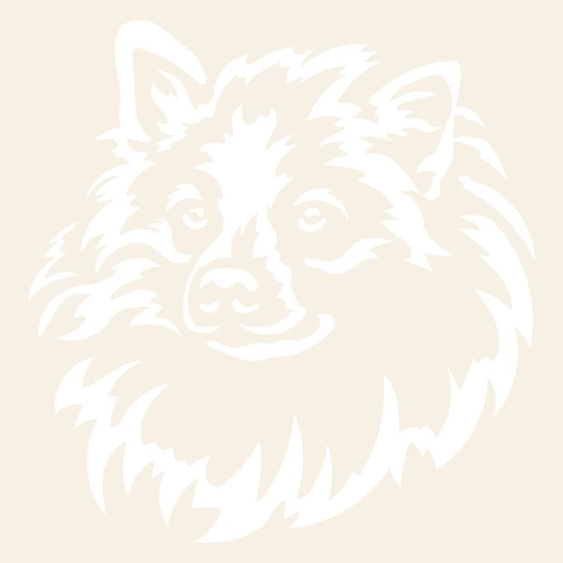 Spitz Kopf "Black Edition"