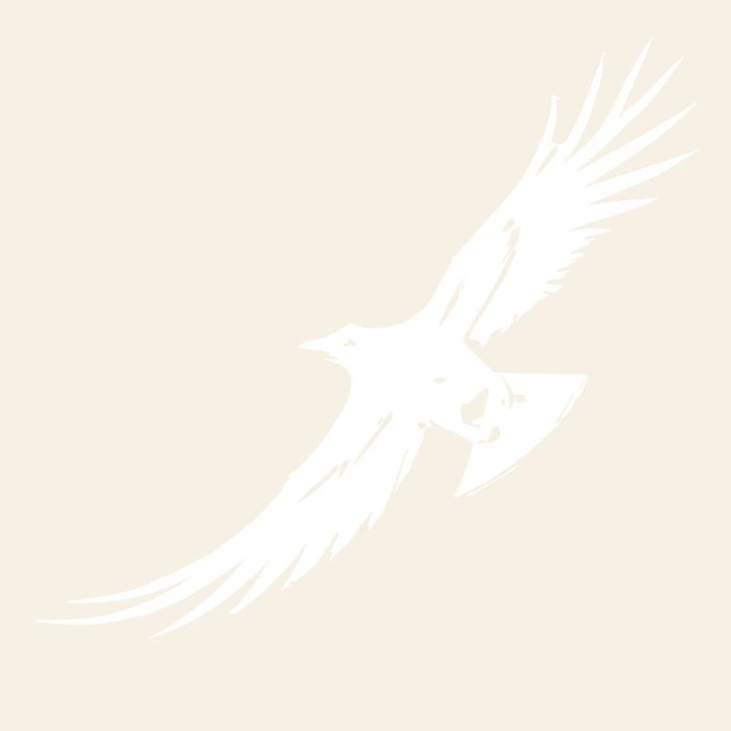 Corbeau volant