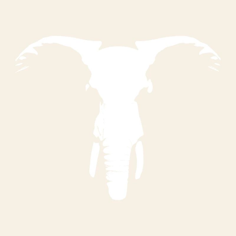 African elephant head