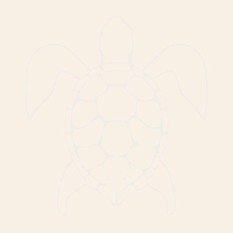 Turtle Lineart