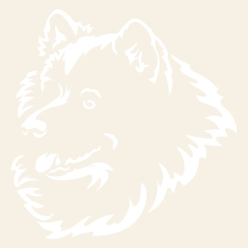 Samoyède Head « Black Edition »