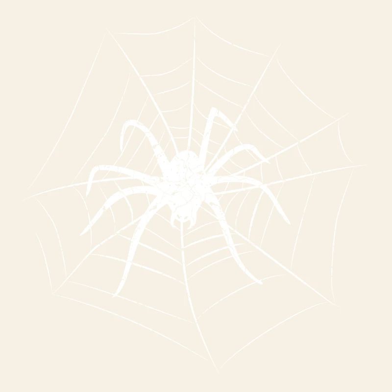 Spider Halloween
