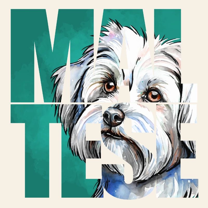 Maltese Portrait