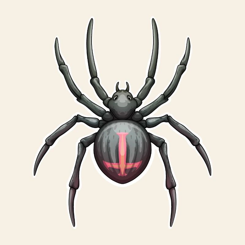 Dunkle Spinne mit rosa Markierungen