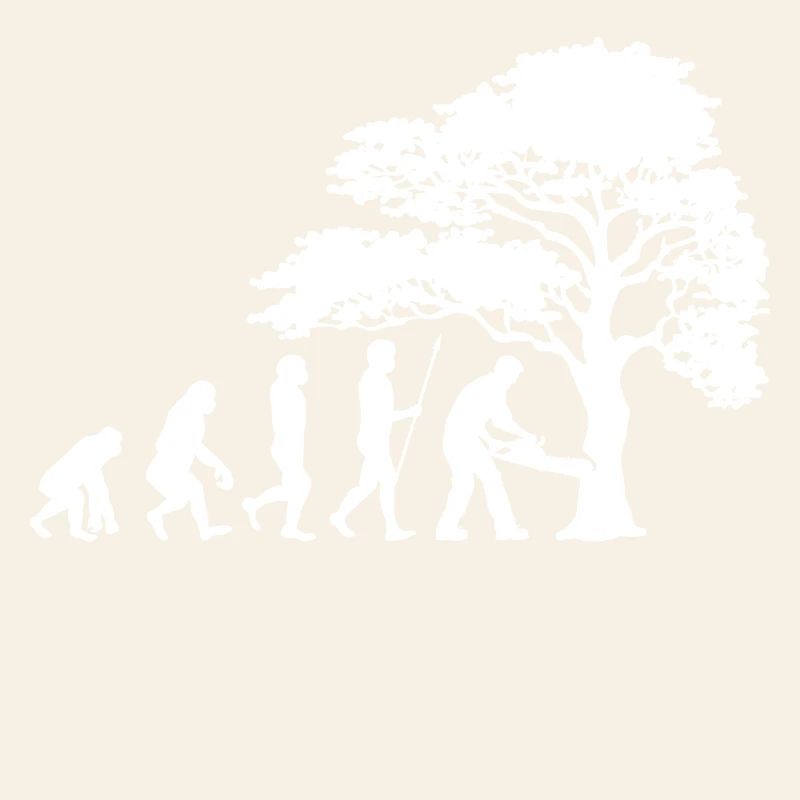 Arbre bois sciure sciure bûcheron boiseries