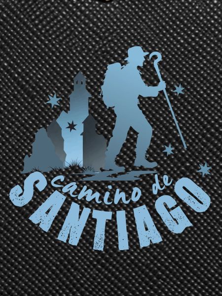 Camino de Santiago, Camino de Santiago