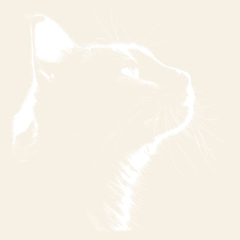 Silhouette Chat