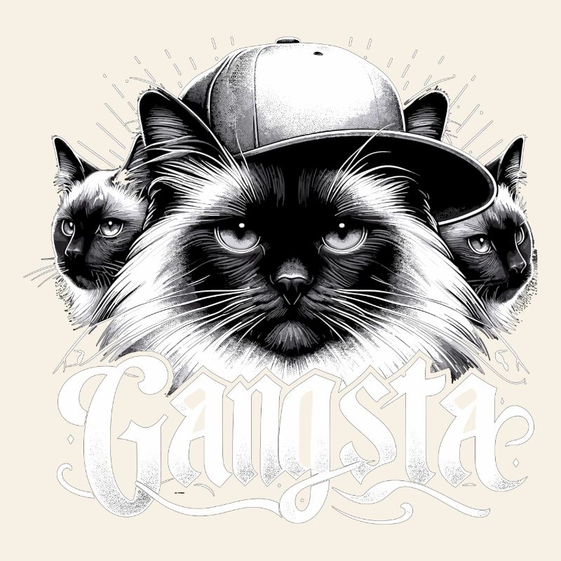 Chat Sacré de Birmanie Chat de Birmanie Trio Gangsta Gesche