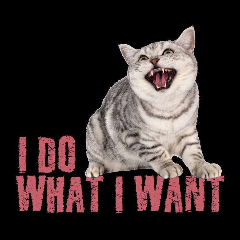 Chat : Je fais ce que je veux