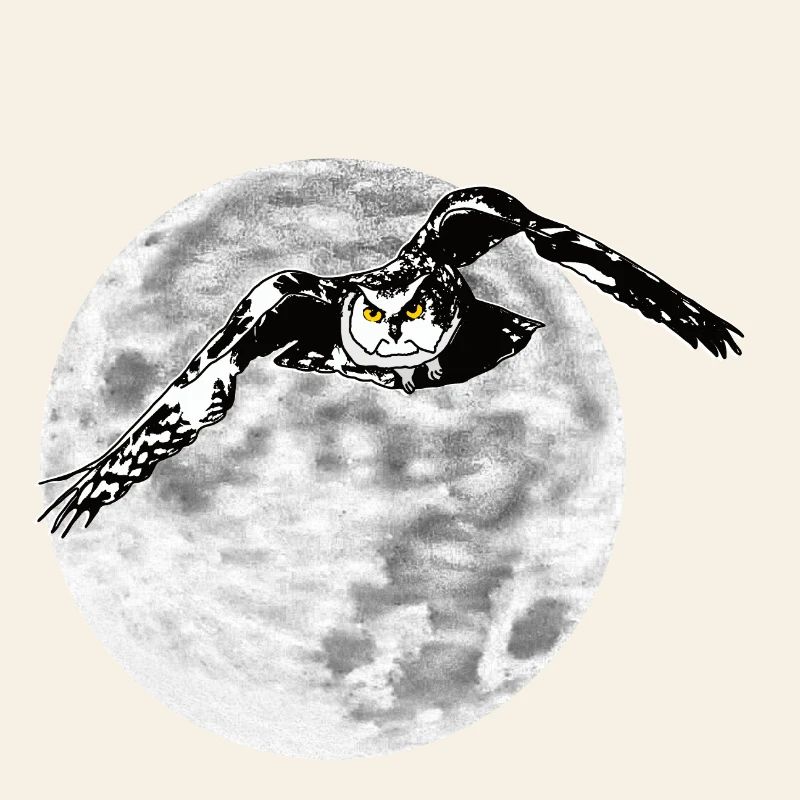 Eule vor Mond