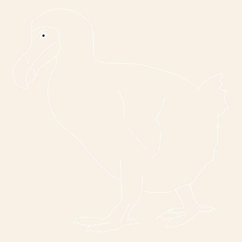 Dodo