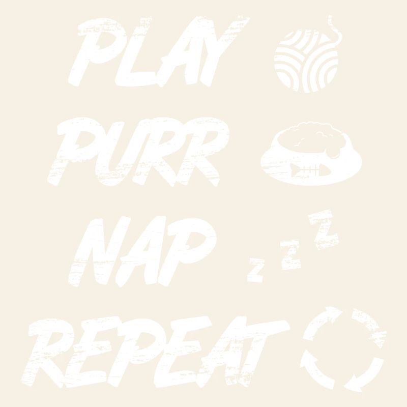 Routine quotidienne du chat