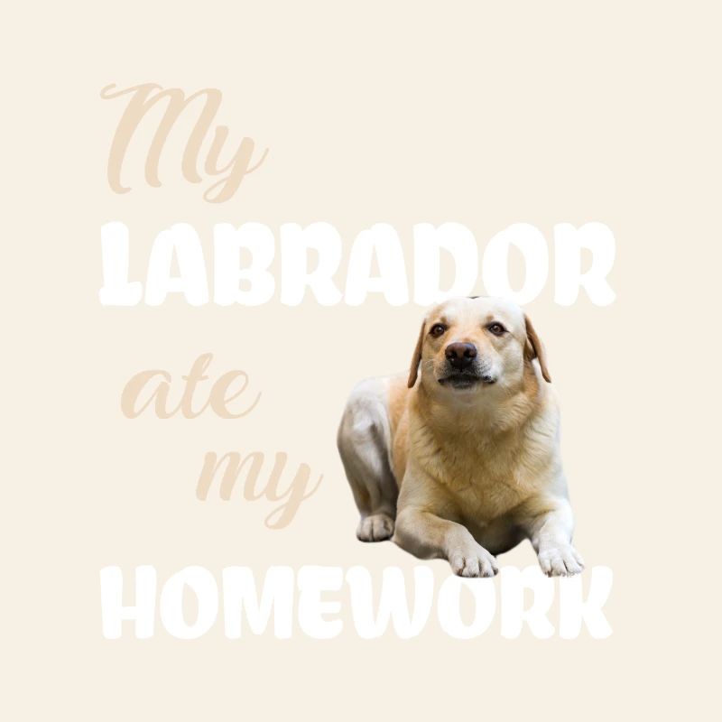 Devoirs du Labrador