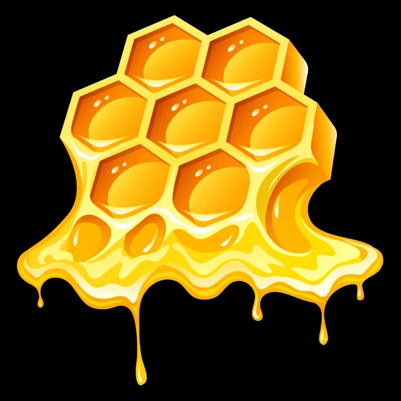 honey, beekeeper, beekeeper
