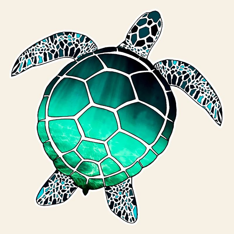 Tortue marine
