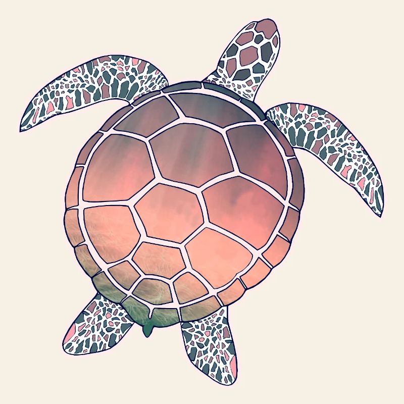 Sea Turtle