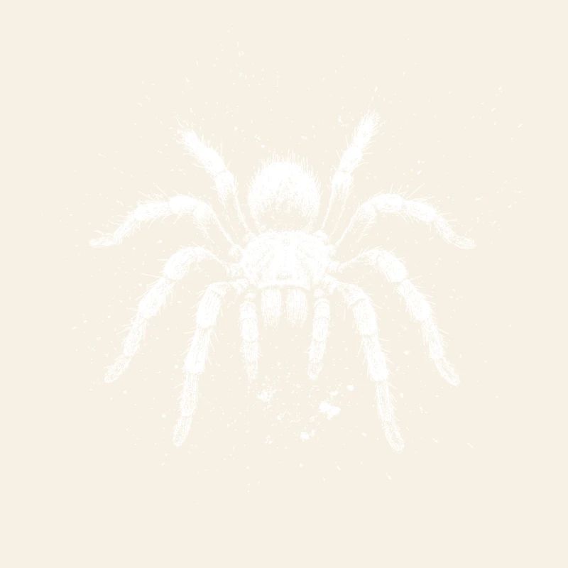 Tarantula