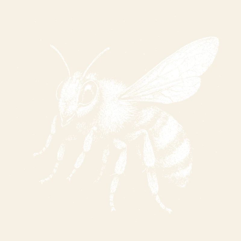 Eine Biene