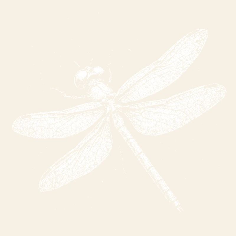 Libellule