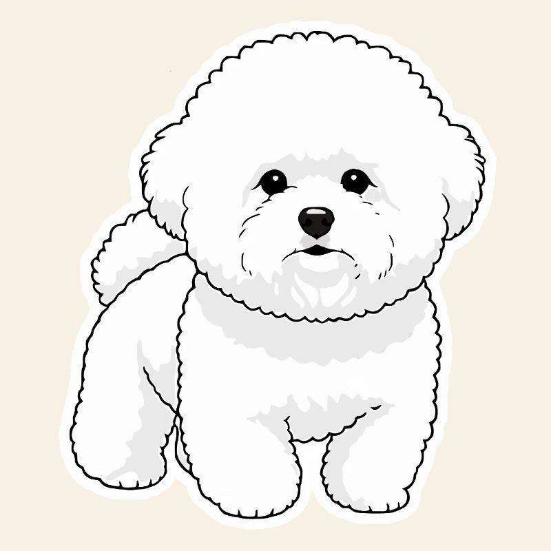 Bichon Mignon