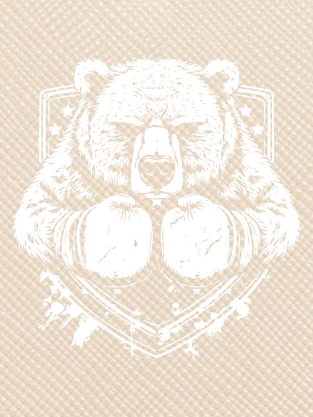 Bear Boxer