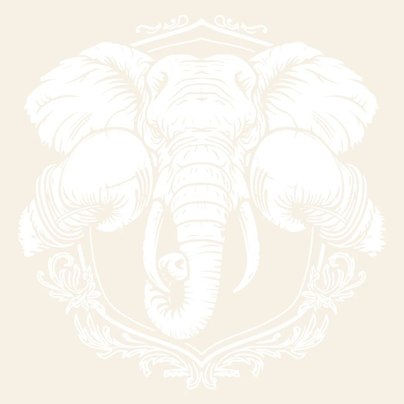 Elephant Boxer