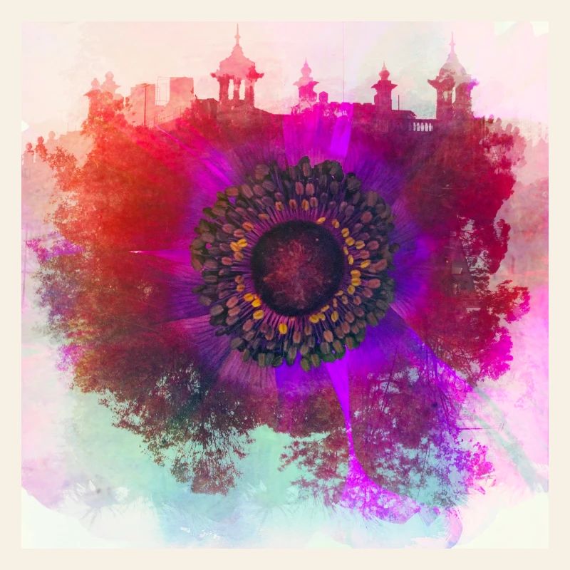 Abstract poppy