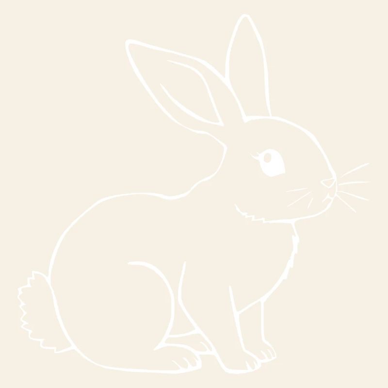 Rabbit Bunny Bunny Dwarf Rabbit Gift