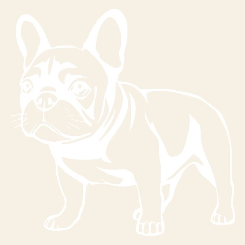Bouledogue Français Chien Chiot Chien Bébé