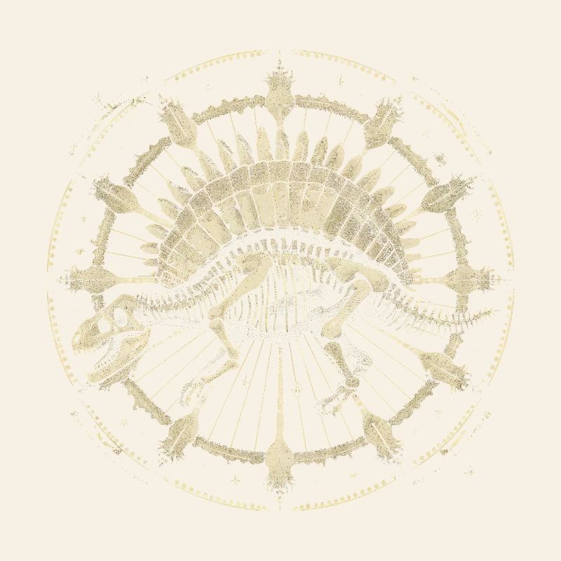 Stegosaurus Skeleton – Cosmic Boho Fossil