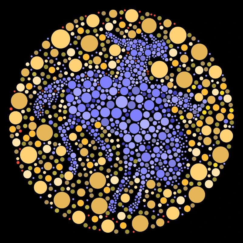 Test de couleur du Reiter Rodeo