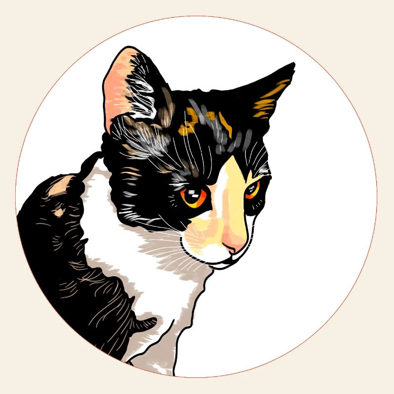 Cat Portrait Circle Contrast