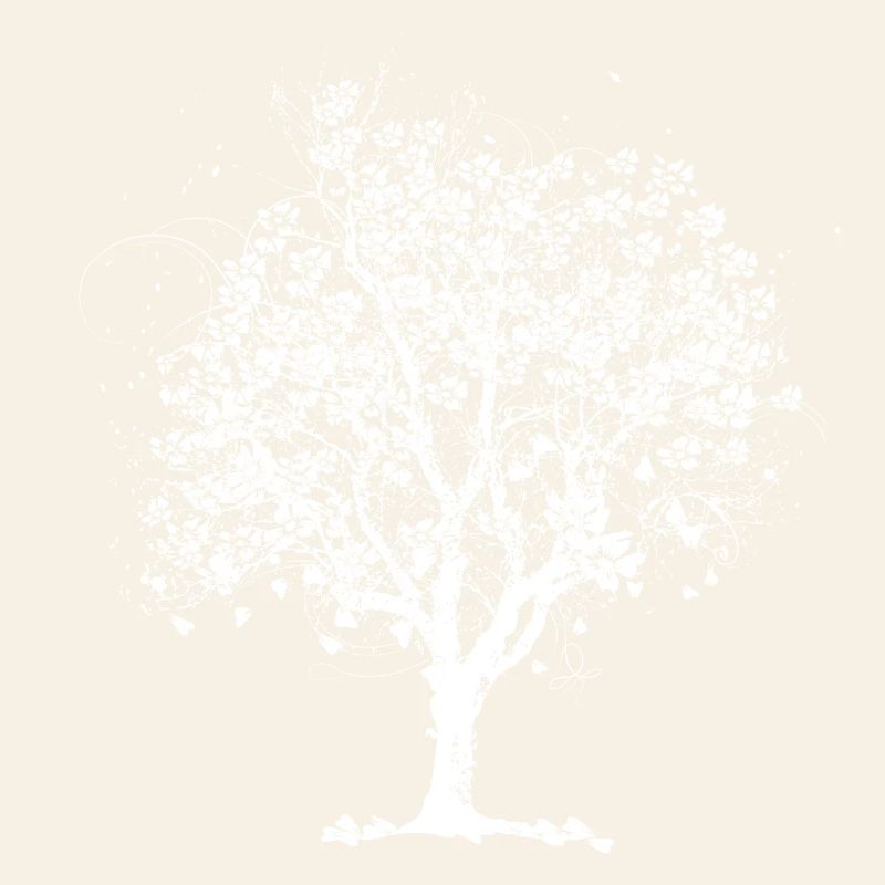 Arbre de printemps en fleurs – œuvres en noir et blanc