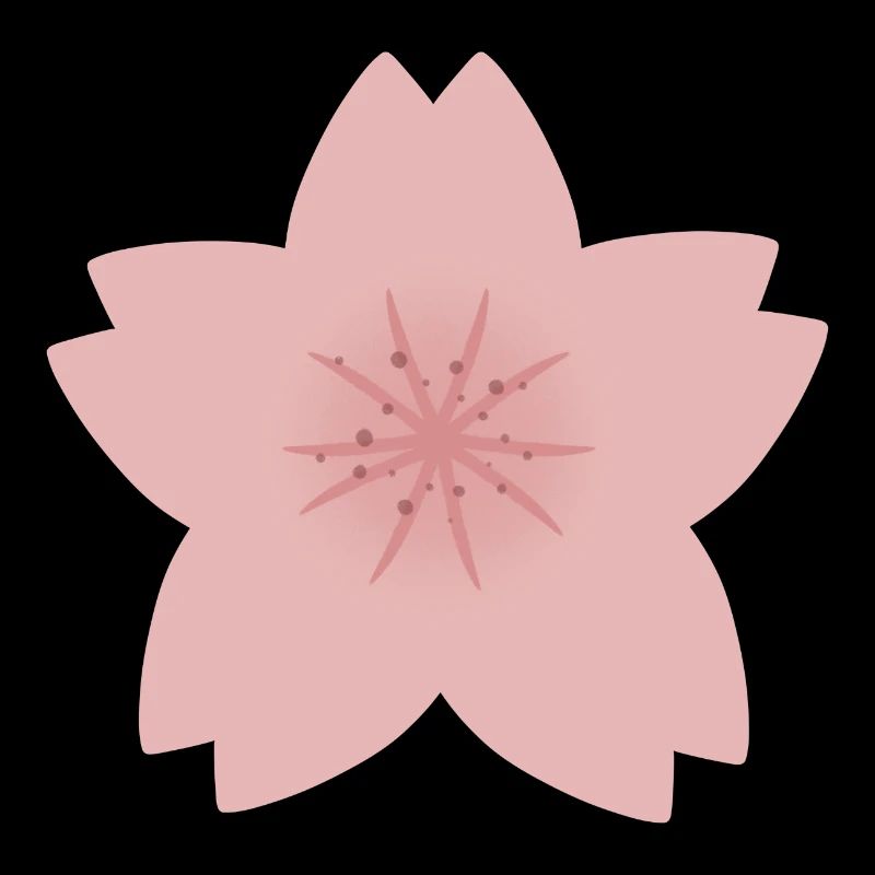 Graphique de pétales roses fleur de cerisier