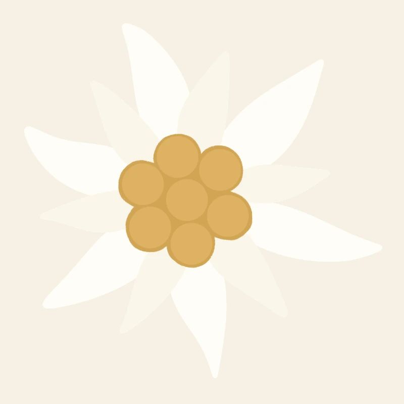 Fleur d’Edelweiss